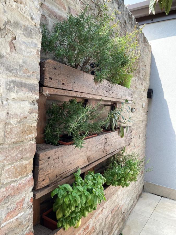 Al Ruderino Hotel Comacchio Exterior photo